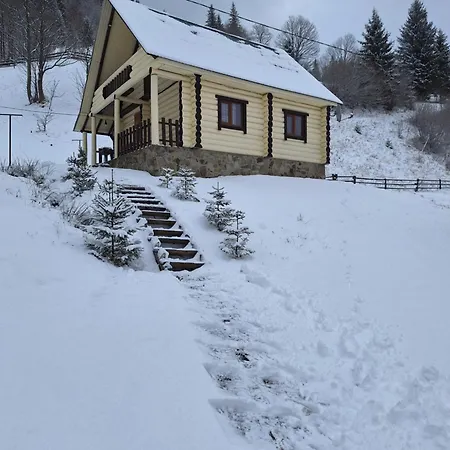 лісовий * Synevyrs'ka Polyana