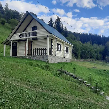 Apartment лісовий *