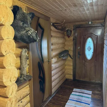 Apartment лісовий Synevyrs'ka Polyana