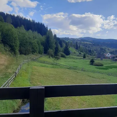 лісовий Synevyrsʼka Polyana