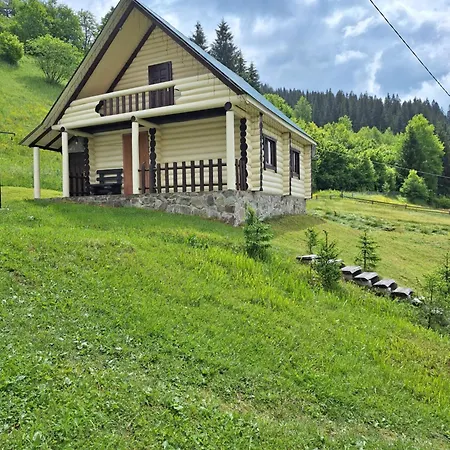 лісовий Synevyrsʼka Polyana