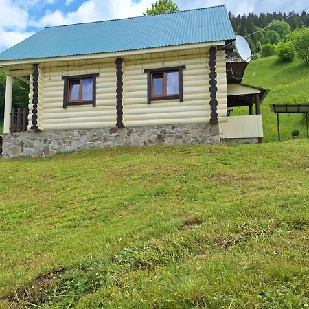Apartment лісовий *